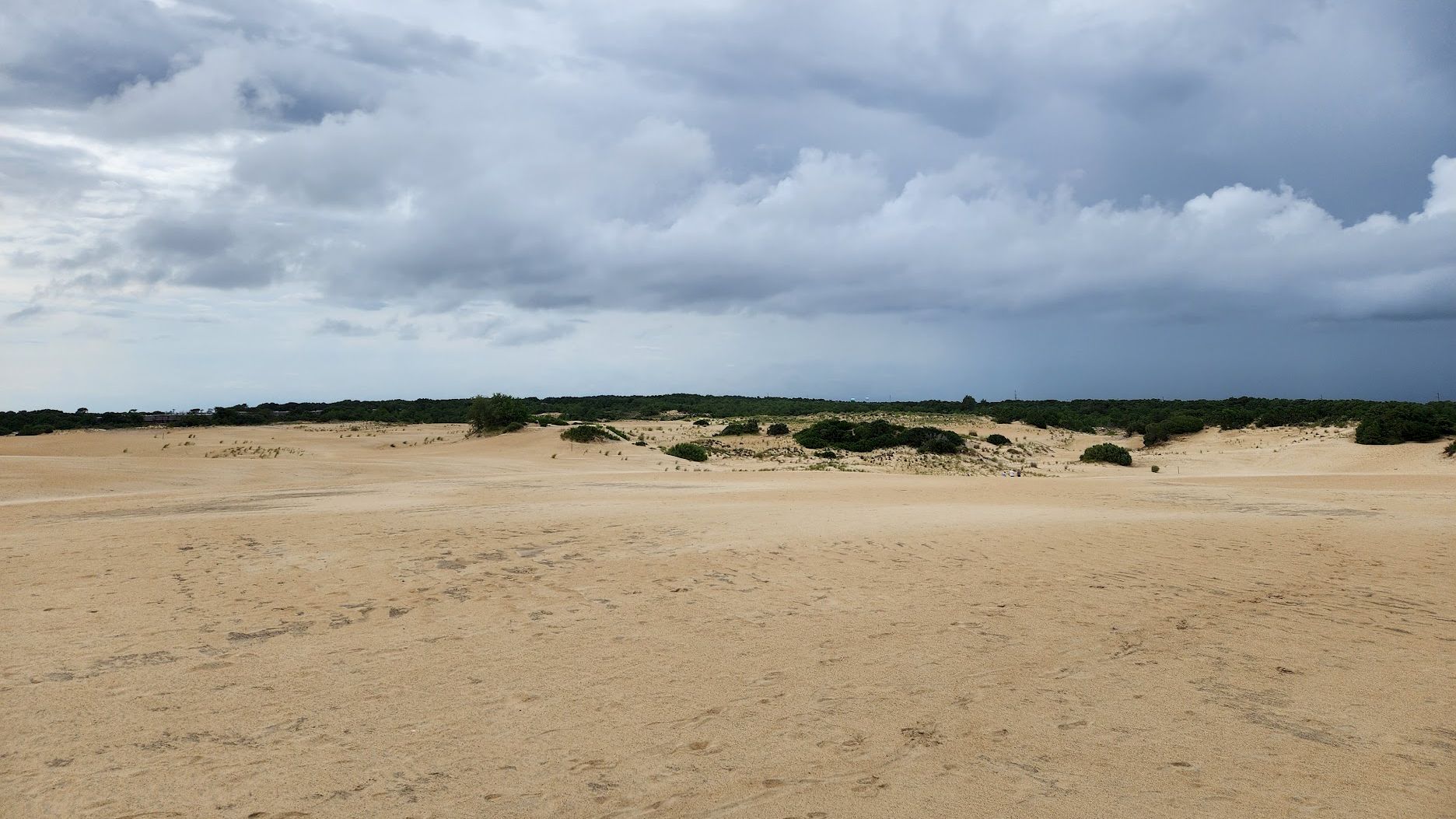 A vast sandy landscape under a cloudy sky, with patches of greenery visible in the distance.